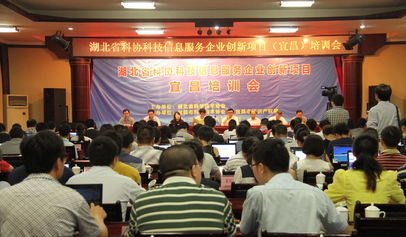 湖北省科學(xué)技術(shù)協(xié)會 賦能企業(yè)數(shù)字化轉(zhuǎn)型的信息技術(shù)咨詢服務(wù)